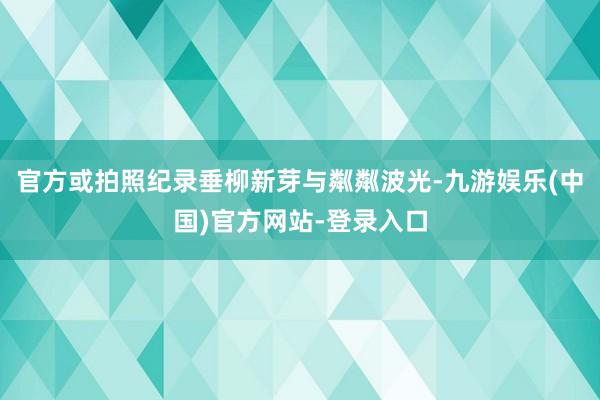 官方或拍照纪录垂柳新芽与粼粼波光-九游娱乐(中国)官方网站-登录入口