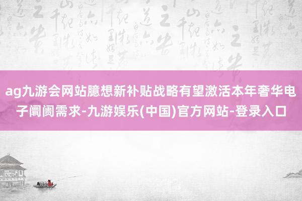 ag九游会网站臆想新补贴战略有望激活本年奢华电子阛阓需求-九游娱乐(中国)官方网站-登录入口