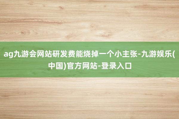ag九游会网站研发费能烧掉一个小主张-九游娱乐(中国)官方网站-登录入口