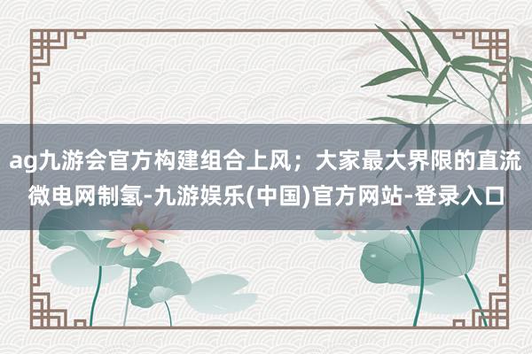 ag九游会官方构建组合上风；大家最大界限的直流微电网制氢-九游娱乐(中国)官方网站-登录入口