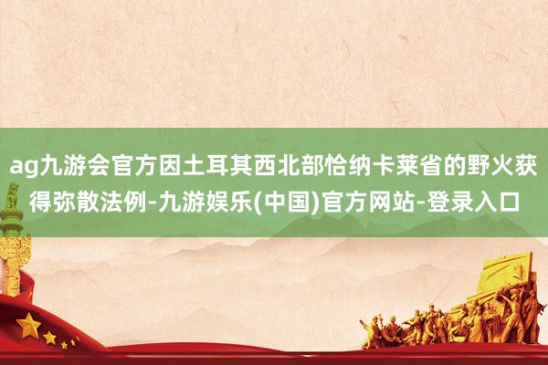 ag九游会官方因土耳其西北部恰纳卡莱省的野火获得弥散法例-九游娱乐(中国)官方网站-登录入口