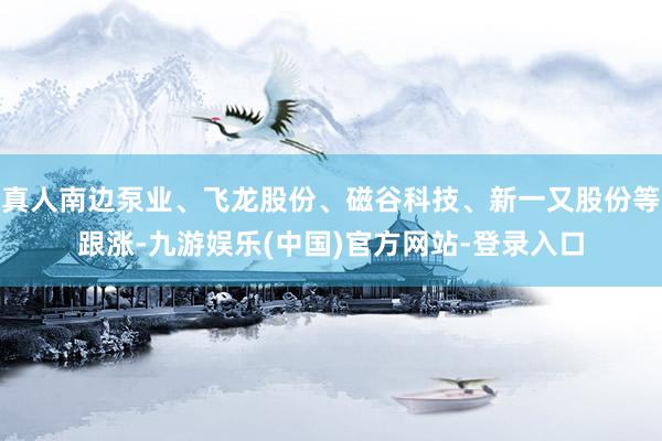 真人南边泵业、飞龙股份、磁谷科技、新一又股份等跟涨-九游娱乐(中国)官方网站-登录入口
