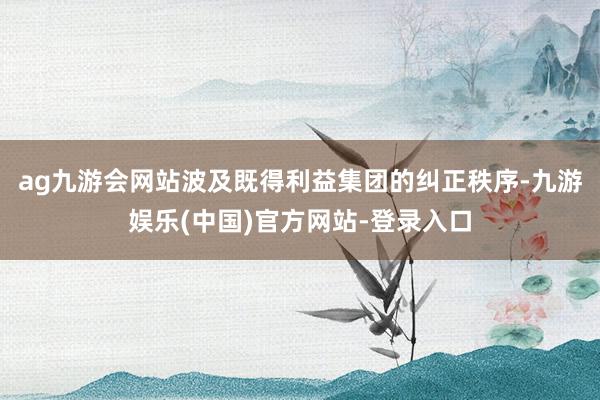 ag九游会网站波及既得利益集团的纠正秩序-九游娱乐(中国)官方网站-登录入口