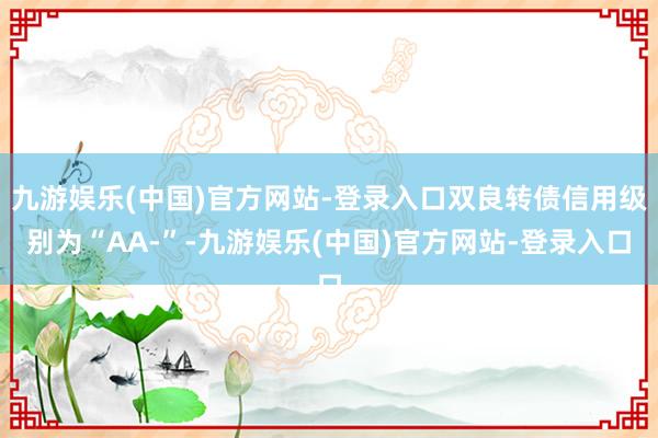 九游娱乐(中国)官方网站-登录入口双良转债信用级别为“AA-”-九游娱乐(中国)官方网站-登录入口