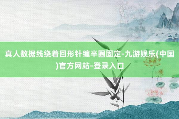 真人数据线绕着回形针缠半圈固定-九游娱乐(中国)官方网站-登录入口